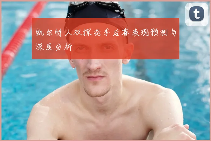 凯尔特人双探花季后赛表现预测与深度分析