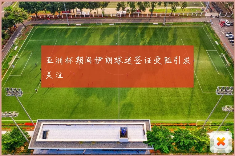亚洲杯期间伊朗球迷签证受阻引发关注