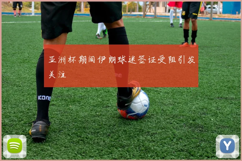 亚洲杯期间伊朗球迷签证受阻引发关注